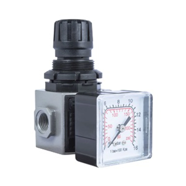Vendita online Regolatore pressione mod. E/25/3 da 1/2